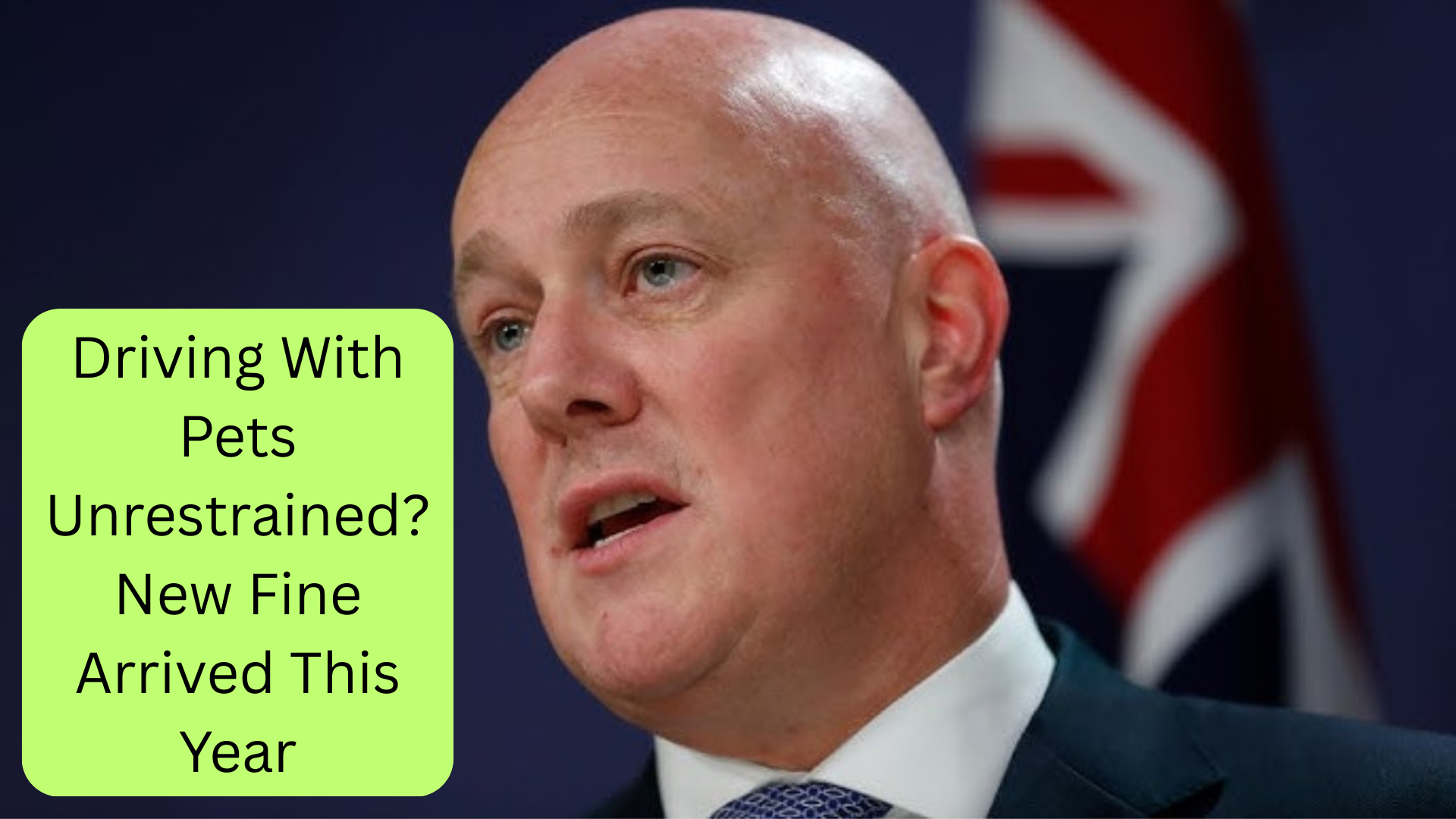 Driving With Pets Unrestrained New Fine Arrived This Year